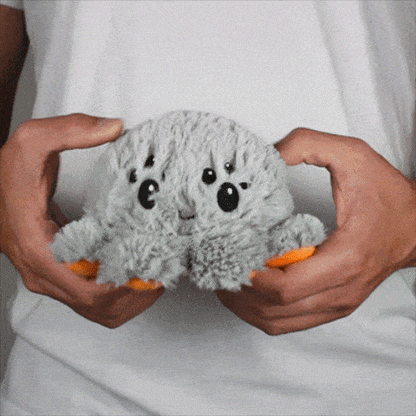 Reversible Spider Pumpkin (60% Off)